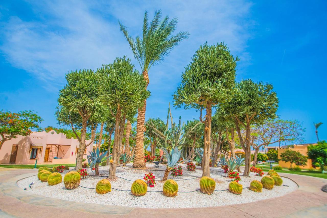 Nubian Village, Families And Couples Only Sharm el Sheikh Esterno foto